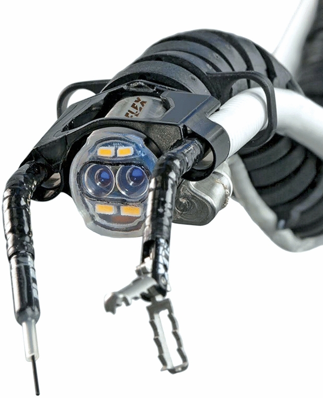 Flexible robotic endoscope tip with a needle-knife and grasper